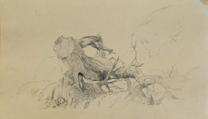 Wurzelwerk, umgestürzter Baum von Johann Peter Krafft