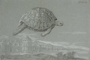 Studie einer Schildkröte und Aussicht auf eine befestigte Stadt am Meer (Venedig) von Johann Salomon Wahl