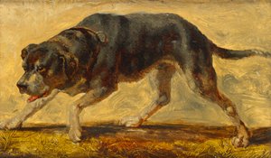 Hundestudie von Johann  Till der Jüngere