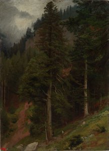 Hang im Tannenwald von Johann Wilhelm Schirmer