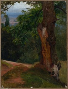 Baumstudie mit Talblick von Johann Wilhelm Schirmer