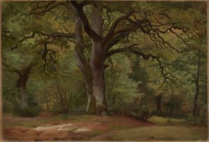 Eichenwald im Solling von Johann Wilhelm Schirmer