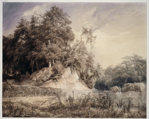 Waldlandschaft mit See und Schwänen von Johann Wilhelm Schirmer