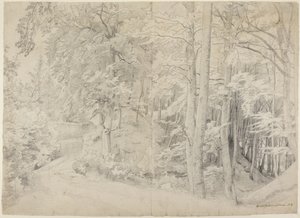 Im Buchenwald von Johann Wilhelm Schirmer