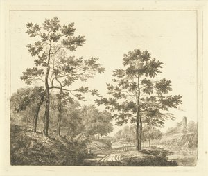 Waldweg in hügeliger Landschaft
