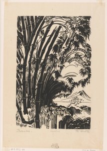 Bambus von Johannes Frederik Engelbert ten Klooster (signed by artist)
