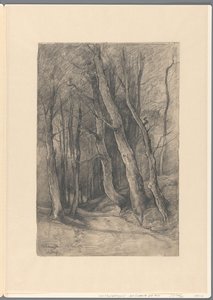 Waldlandschaft bei Delden von Johannes Gijsbert Vogel