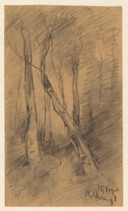 Waldlandschaft bei Wolfheze von Johannes Gijsbert Vogel