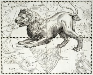 Löwe, Tierkreiszeichen des Löwen, Illustration aus Johann Hevelius