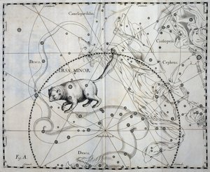 Kleiner Bär, boreale Konstellation des Kleinen Bären, Gravur aus dem Himmelsatlas Firmamentum Sobiescianum sive Uronographia