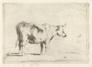 Kuh, nach rechts von Johannes Janson (possibly)