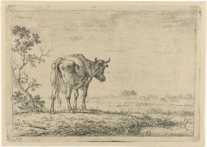 Kuh auf der Weide von Johannes Janson