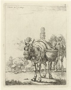 Zwei beladene Maultiere von Johannes Janson
