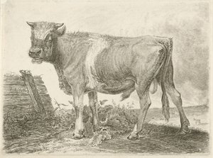 Stier von Johannes Mock