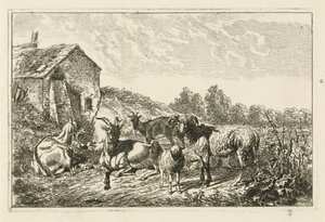 Vier Ziegen und ein Schaf bei einem Haus von Johannes Mock