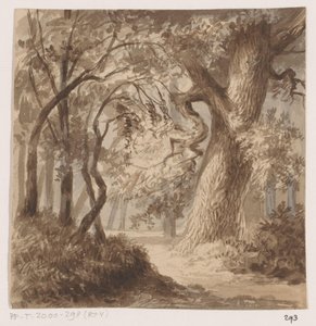 Waldlandschaft von Johannes Tavenraat