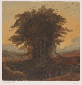 Der Baum mit vielen Vögeln