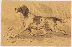 Jagdhund von Johannes Tavenraat