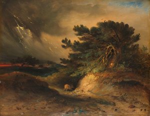 Das Gewitter von Johannes Tavenraat