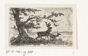 Zwei Hirsche unter einem Baum von Johannes Tavenraat
