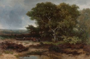 Die Heide bei Wolfheze