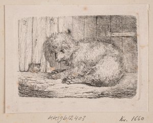 Ein langhaariger Hund