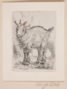 Ein Ziegenkitz von Johannes Wilhelm Zillen