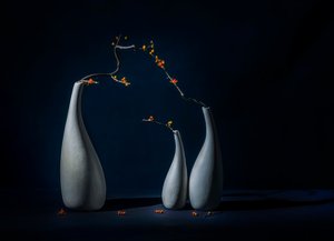 Elegante Vasen mit Blüten
