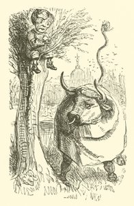Stier und Junge (Gravur) von John (after) Leech