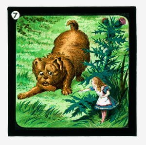 Alice im Wunderland, farbige Laternenbilder