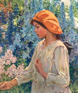 Delphinien, Buchplatte