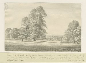 Lichfield Kathedrale - Ansicht von Aldershaw (fern) von John Allport