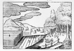 Früchte der Erde, 1658 von John Amos Comenius