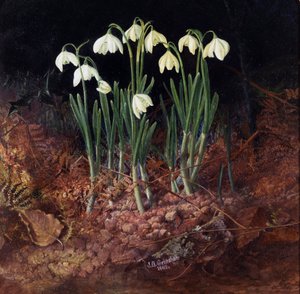 Schneeglöckchen