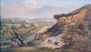 Ringwood