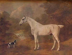 Ein flohgebissener Grauer und ein gefleckter Terrier, 1803