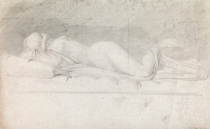 Studie des Hermaphroditen