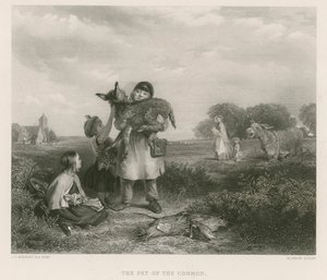 Der Liebling der Gemeinen von John Callcott Horsley