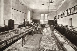 Museum, Camborne Mining School, Illustration aus 