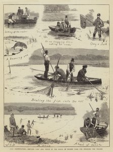 Fischkonservierung, Karpfen und Schleien in den Teichen von Bushey Park für die Bestückung der Themse
