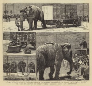 Die Versteigerung von Myers