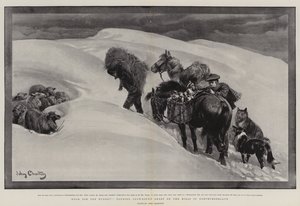 Nahrung für die Hungrigen, Pflege von eingeschneiten Schafen in den Hügeln von Northumberland von John Charlton