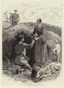 Moorhuhnjagd auf den Mooren