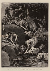 Otterjagd in Cumberland, der Otter in die Enge getrieben