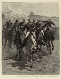 Die Briten in Ägypten, ein Kamelrennen