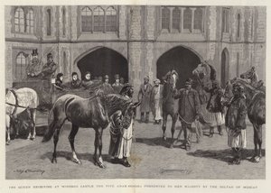 Die Königin empfängt auf Schloss Windsor die fünf arabischen Pferde, die ihr vom Sultan von Maskat geschenkt wurden von John Charlton