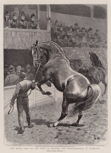 Der königliche Besuch der Ausstellung von Jägern und Vollblütern in Islington