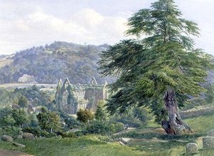 Tintern Abbey mit dem Wye dahinter von John Chase