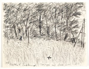 Vridsløsemagle. Baumgruppe mit Feld davor. Abend von John Christensen