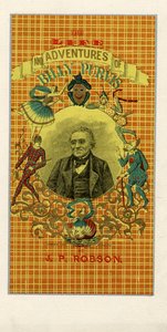 Das Leben und die Abenteuer von Billy Purvis